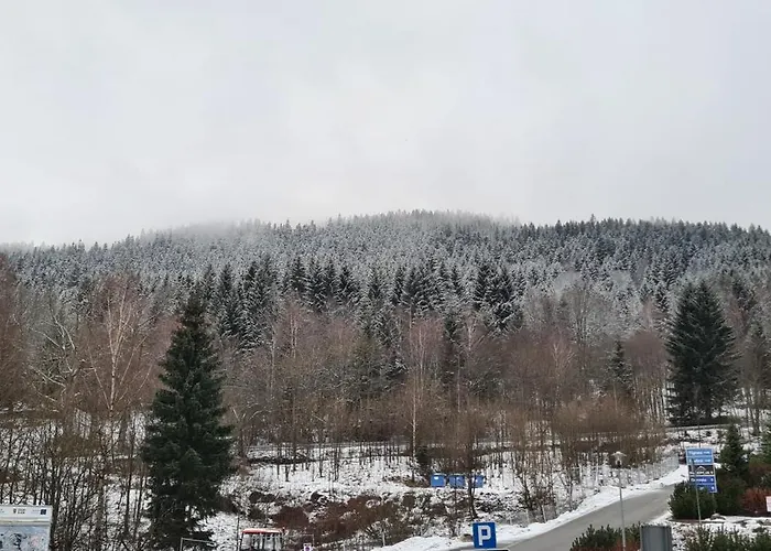 Czarna Góra S25 Apartamento Sienna (Klodzko)